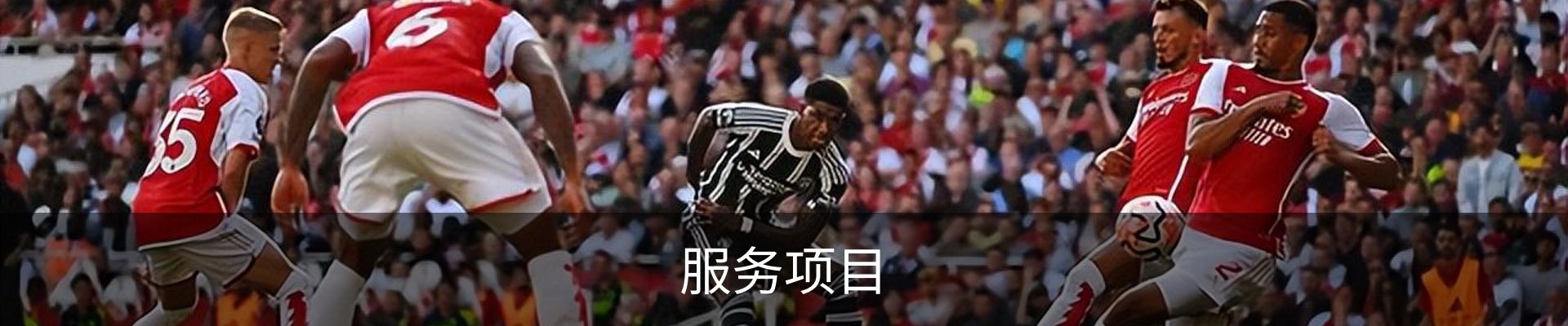 服务项目