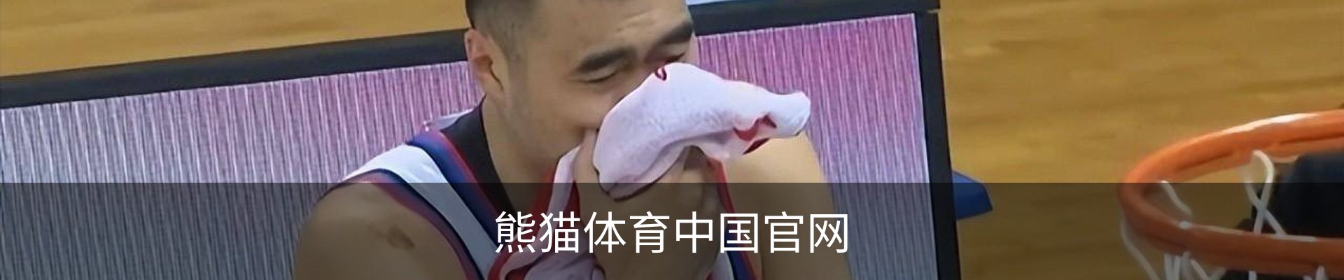熊猫体育中国官网